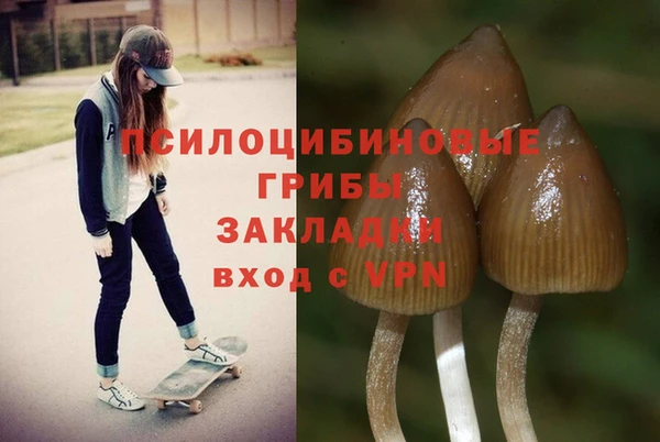 СК Абдулино