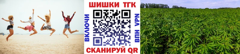 купить   Новоуральск  МАРИХУАНА ГИДРОПОН 